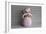 Snowgirl Tickled Pink-null-Framed Photographic Print