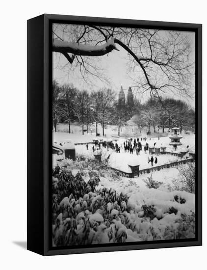 Snowing Evening Central Park, NYC-Walter Bibikow-Framed Stretched Canvas
