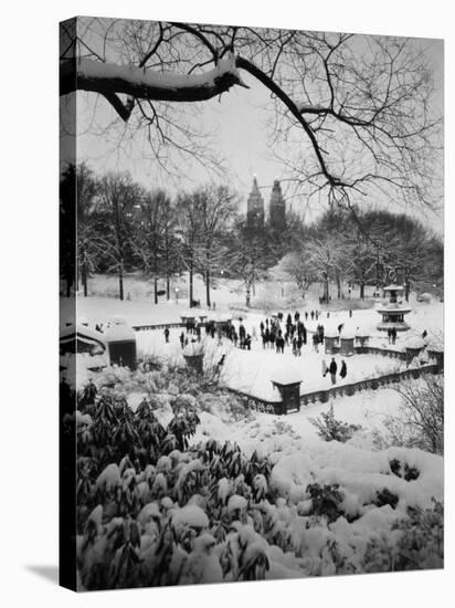 Snowing Evening Central Park, NYC-Walter Bibikow-Stretched Canvas