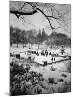 Snowing Evening Central Park, NYC-Walter Bibikow-Mounted Premium Photographic Print