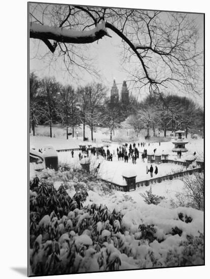 Snowing Evening Central Park, NYC-Walter Bibikow-Mounted Premium Photographic Print