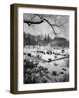 Snowing Evening Central Park, NYC-Walter Bibikow-Framed Photographic Print