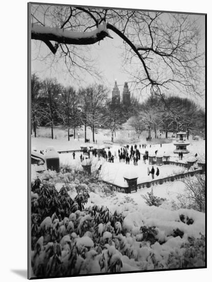 Snowing Evening Central Park, NYC-Walter Bibikow-Mounted Photographic Print