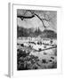 Snowing Evening Central Park, NYC-Walter Bibikow-Framed Photographic Print