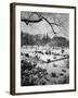 Snowing Evening Central Park, NYC-Walter Bibikow-Framed Photographic Print