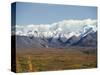 Snowline on Alaska Range, Denali National Park, Alaska, USA-Tony Waltham-Stretched Canvas