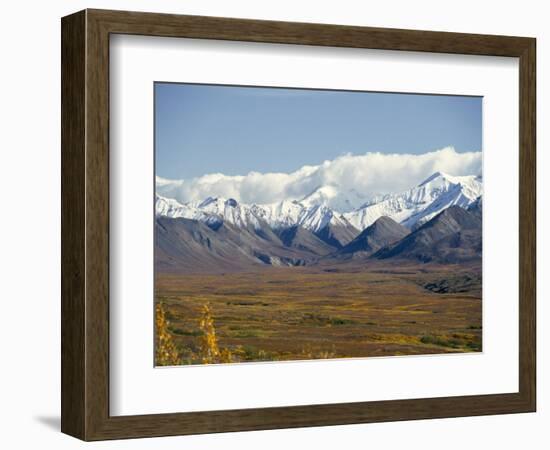 Snowline on Alaska Range, Denali National Park, Alaska, USA-Tony Waltham-Framed Photographic Print