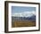 Snowline on Alaska Range, Denali National Park, Alaska, USA-Tony Waltham-Framed Photographic Print