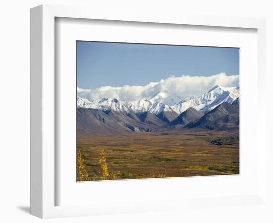 Snowline on Alaska Range, Denali National Park, Alaska, USA-Tony Waltham-Framed Photographic Print