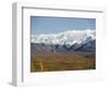 Snowline on Alaska Range, Denali National Park, Alaska, USA-Tony Waltham-Framed Photographic Print