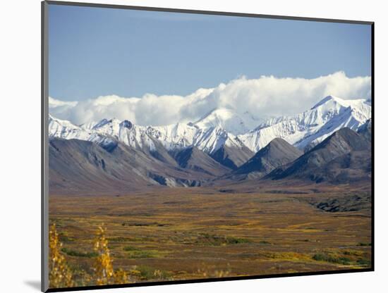 Snowline on Alaska Range, Denali National Park, Alaska, USA-Tony Waltham-Mounted Photographic Print