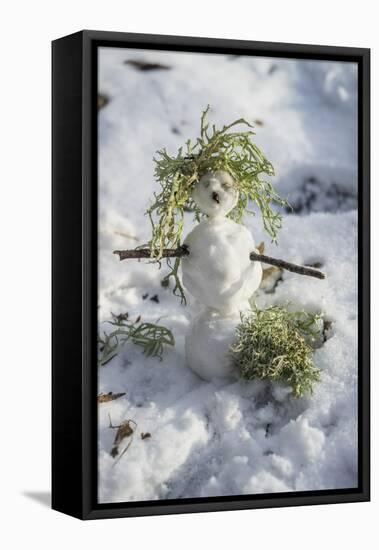 Snowman at Vallombrosa-Guido Cozzi-Framed Stretched Canvas