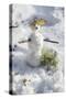 Snowman at Vallombrosa-Guido Cozzi-Stretched Canvas