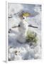 Snowman at Vallombrosa-Guido Cozzi-Framed Premium Photographic Print