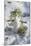 Snowman at Vallombrosa-Guido Cozzi-Mounted Photographic Print