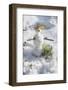 Snowman at Vallombrosa-Guido Cozzi-Framed Photographic Print