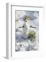 Snowman at Vallombrosa-Guido Cozzi-Framed Photographic Print