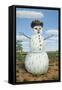 Snowman in Texas-James W. Johnson-Framed Stretched Canvas