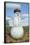 Snowman in Texas-James W. Johnson-Framed Stretched Canvas