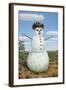 Snowman in Texas-James W. Johnson-Framed Giclee Print