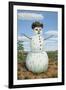 Snowman in Texas-James W. Johnson-Framed Giclee Print