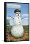 Snowman in Texas-James W. Johnson-Framed Stretched Canvas