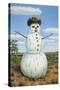Snowman in Texas-James W. Johnson-Stretched Canvas