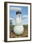 Snowman in Texas-James W. Johnson-Framed Giclee Print