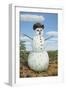 Snowman in Texas-James W. Johnson-Framed Giclee Print