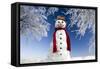 Snowman in Winter Snow-null-Framed Stretched Canvas