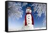 Snowman in Winter Snow-null-Framed Stretched Canvas