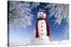 Snowman in Winter Snow-null-Stretched Canvas