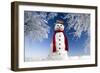 Snowman in Winter Snow-null-Framed Photographic Print
