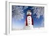 Snowman in Winter Snow-null-Framed Photographic Print