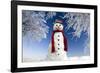 Snowman in Winter Snow-null-Framed Photographic Print