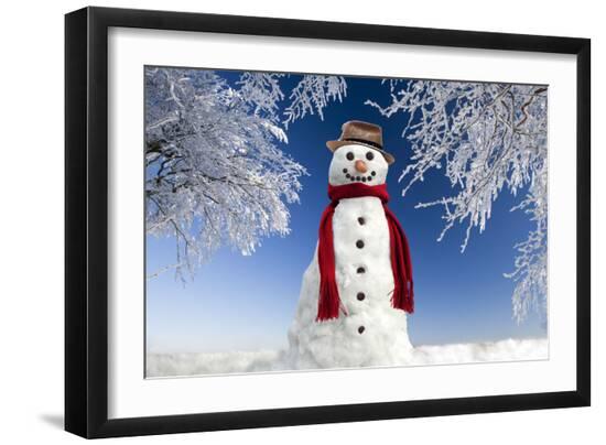 Premium Photographic Print, , large