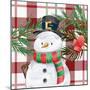 Snowman Plaid 2-Kim Allen-Mounted Art Print