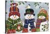 Snowman Trio-William Vanderdasson-Stretched Canvas