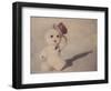 Snowman Walking by Jennifer Kennard-Jennifer Kennard-Framed Photographic Print