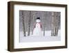 Snowman Wearing A Scarf And Black Top Hat Standing In A Snow-Covered Birch Forest, Alaska-Design Pics-Framed Photographic Print