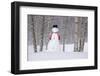 Snowman Wearing A Scarf And Black Top Hat Standing In A Snow-Covered Birch Forest, Alaska-Design Pics-Framed Photographic Print