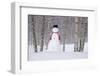 Snowman Wearing A Scarf And Black Top Hat Standing In A Snow-Covered Birch Forest, Alaska-Design Pics-Framed Photographic Print