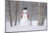 Snowman Wearing A Scarf And Black Top Hat Standing In A Snow-Covered Birch Forest, Alaska-Design Pics-Mounted Photographic Print