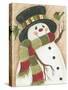 Snowman with Green Bird-Beverly Johnston-Stretched Canvas