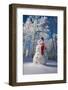 Snowman With Red Scarf And Black Top Hat, Eagle River, Alaska-Design Pics-Framed Photographic Print