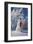 Snowman With Red Scarf And Black Top Hat, Eagle River, Alaska-Design Pics-Framed Photographic Print