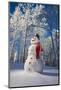 Snowman With Red Scarf And Black Top Hat, Eagle River, Alaska-Design Pics-Mounted Photographic Print