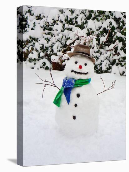 Snowman with Scarf and Hat in Winter Scene-null-Stretched Canvas