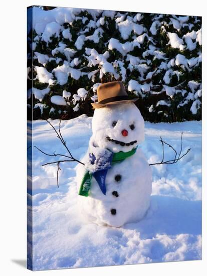 Snowman with Scarf and Hat in Winter Scene-null-Stretched Canvas