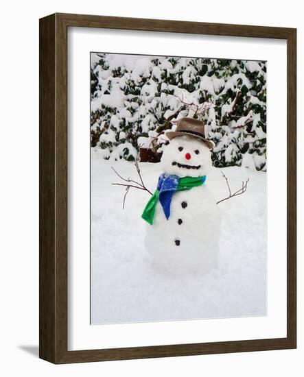 Snowman with Scarf and Hat in Winter Scene-null-Framed Photographic Print